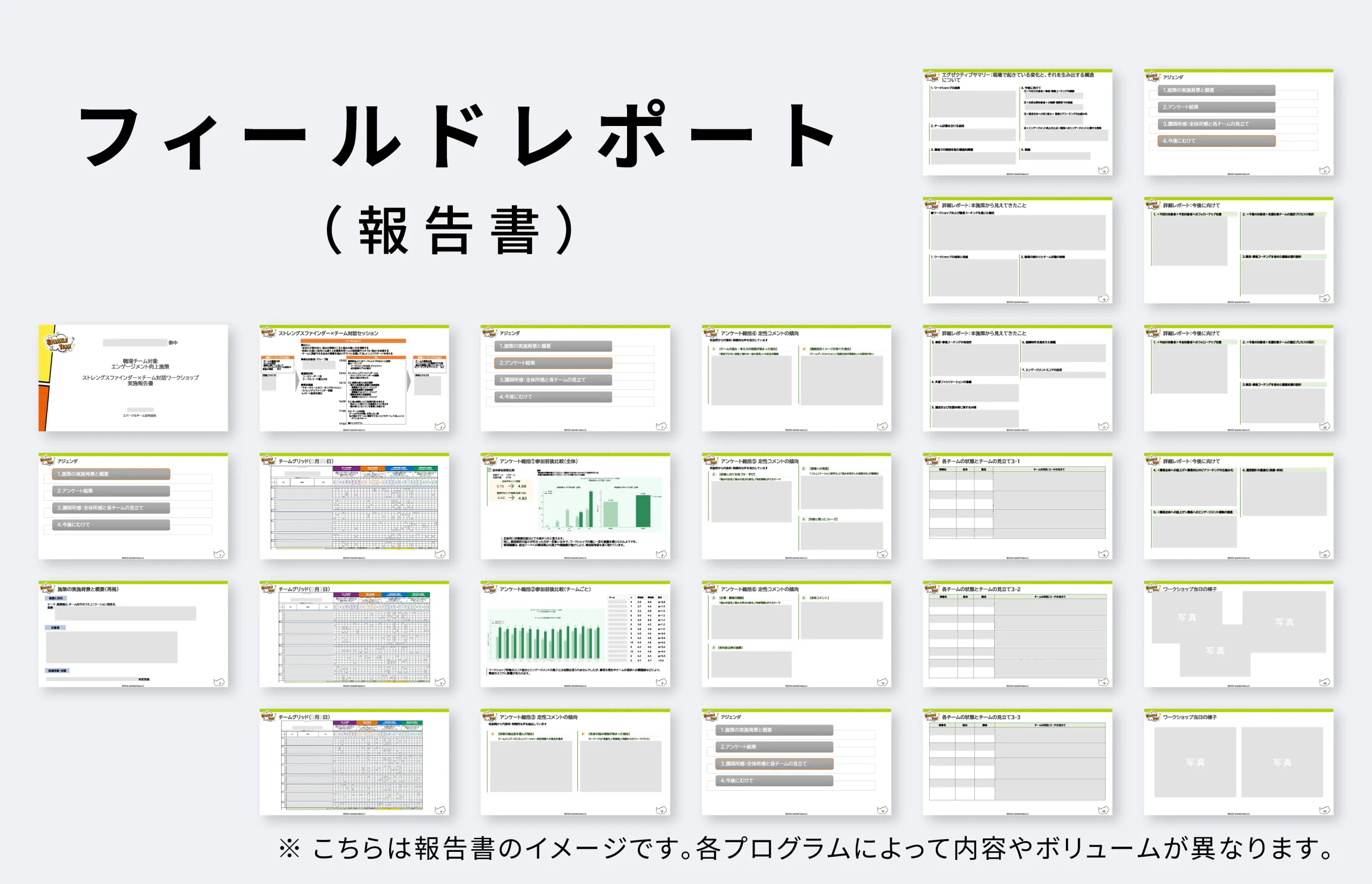 field-report